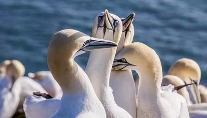 WTT总决赛 林诗栋3-4不敌对手无缘男单决赛